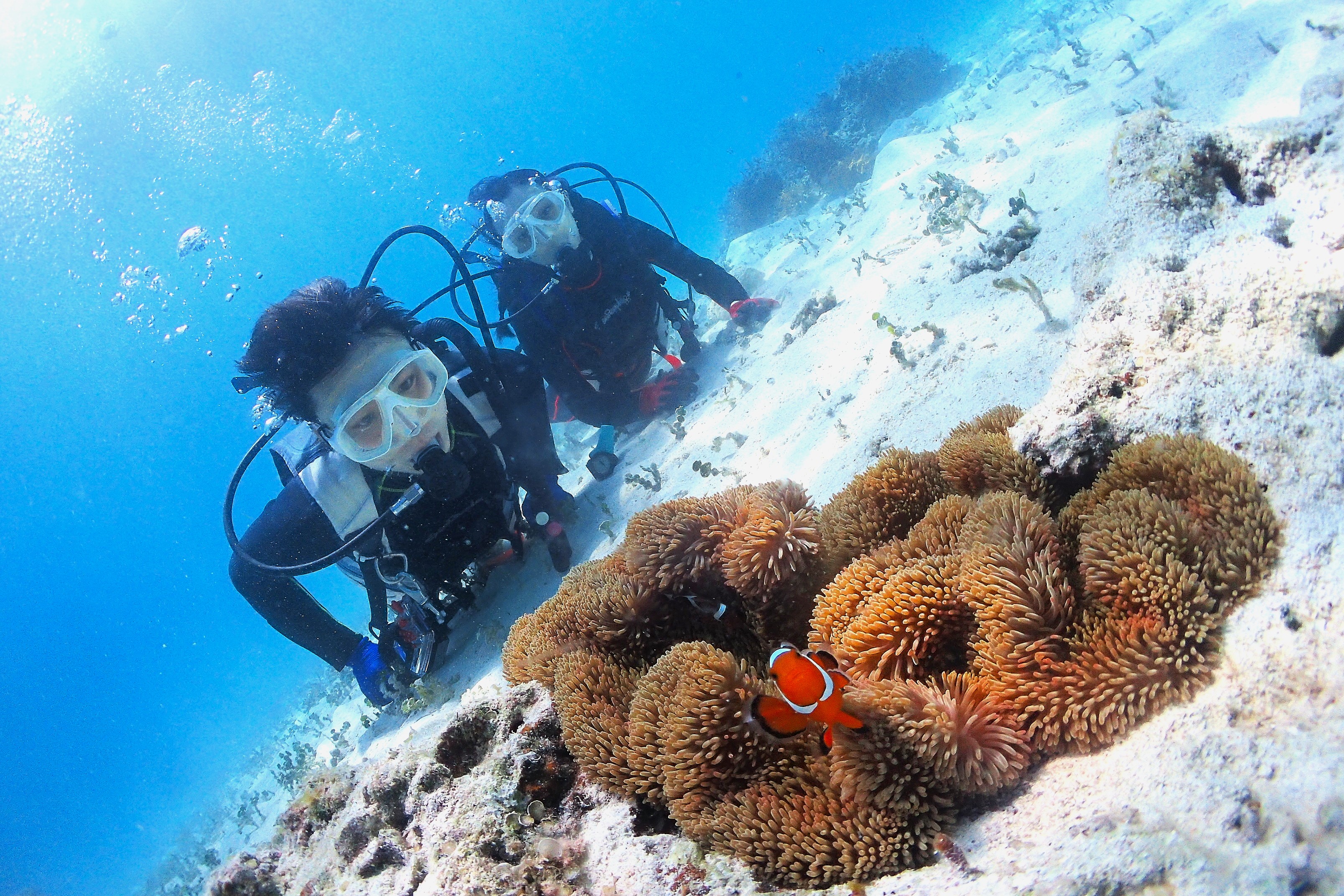 足の着く浅場での練習で安心の体験ダイビング講習
