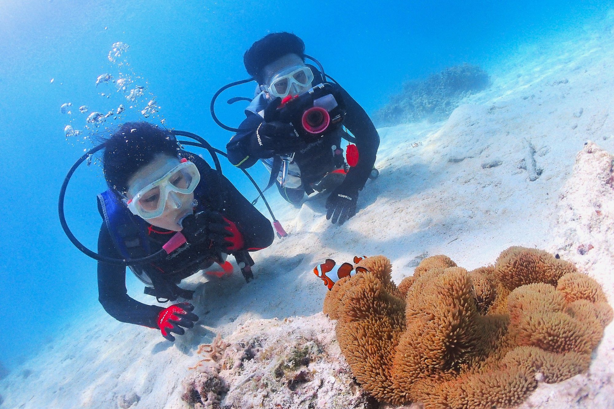 体験ダイビング：浅瀬で練習してから安心入水