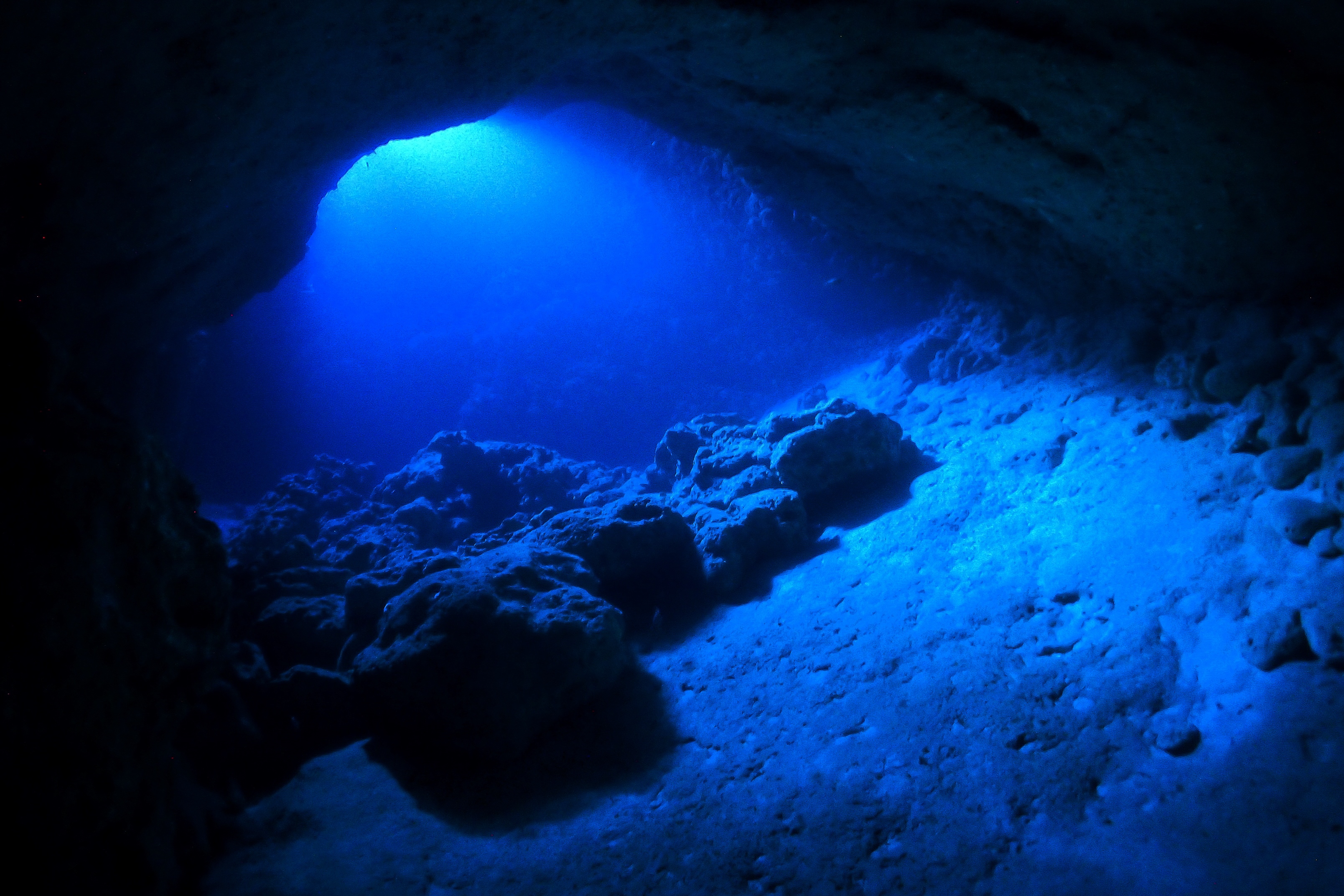 安心して潜るファンダイバー