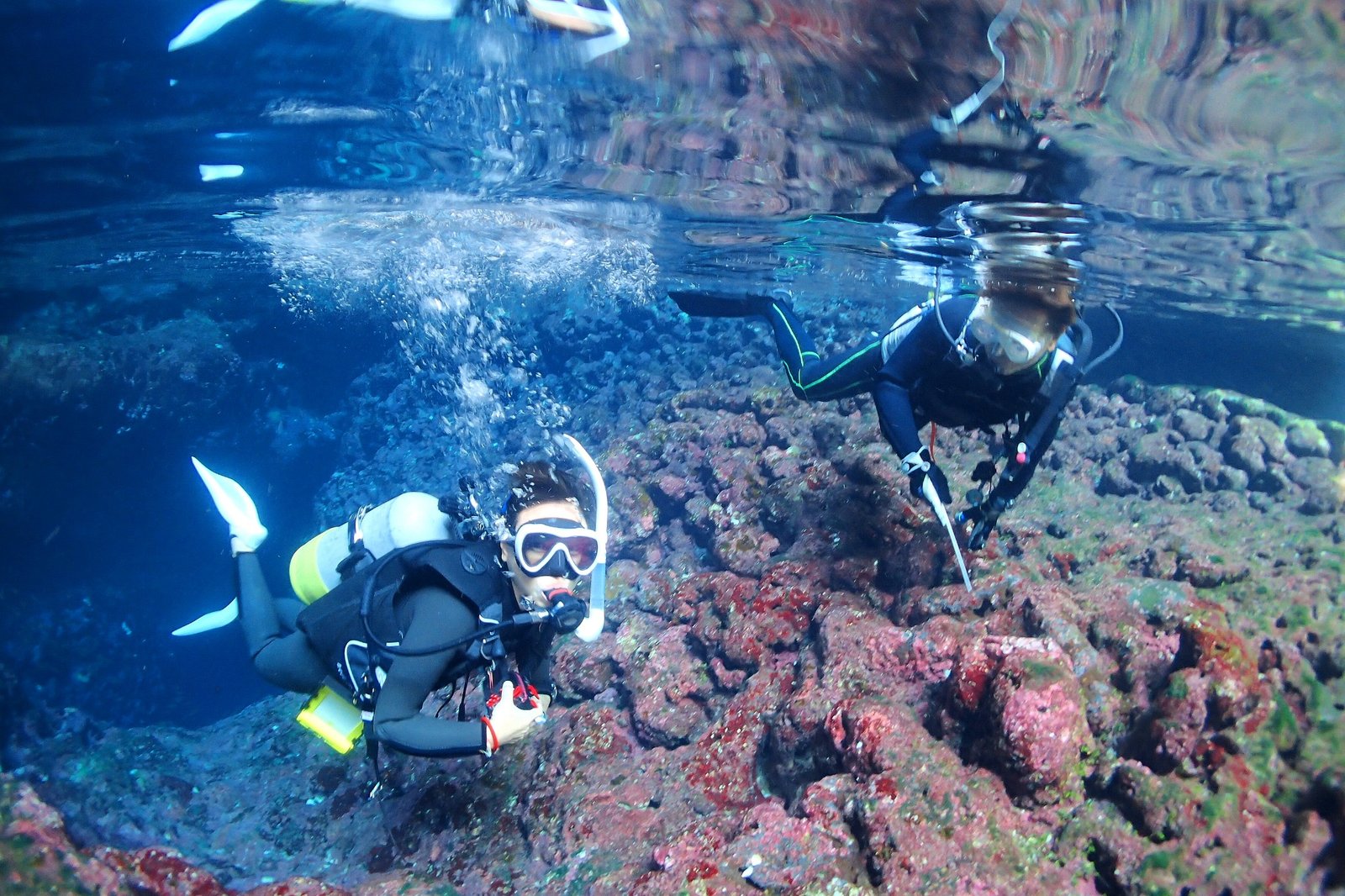 ウミガメと一緒に泳ぐ宮古島のファンダイビング