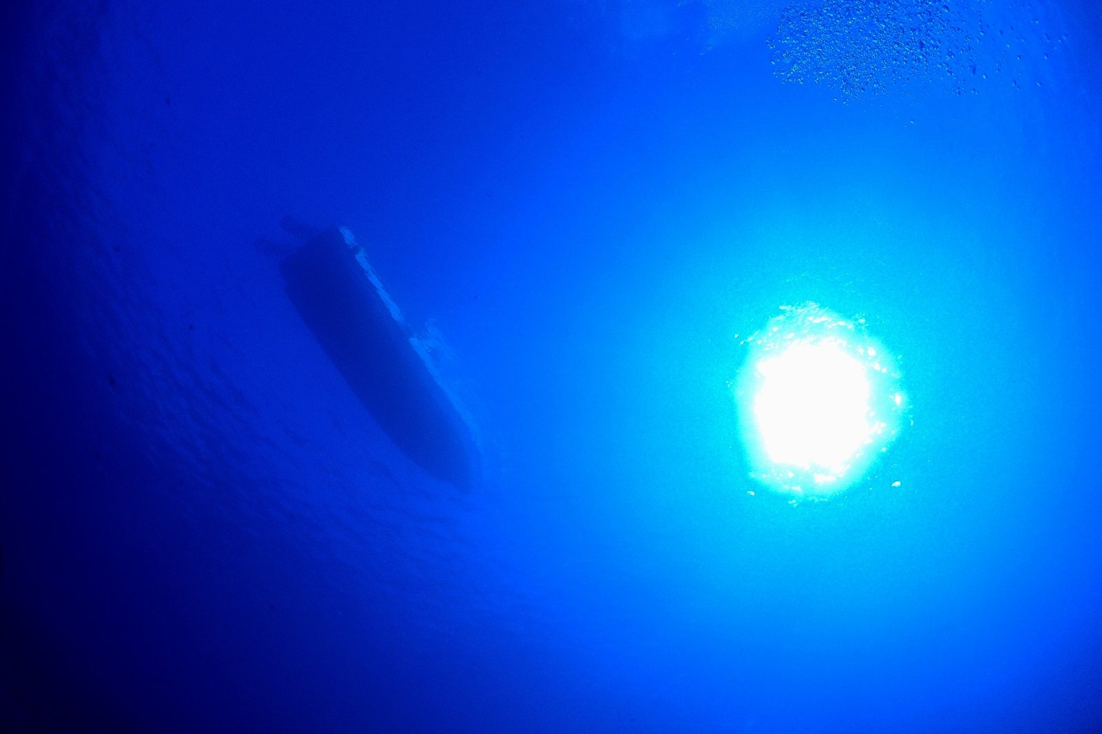 色鮮やかな熱帯魚に囲まれるファンダイビング