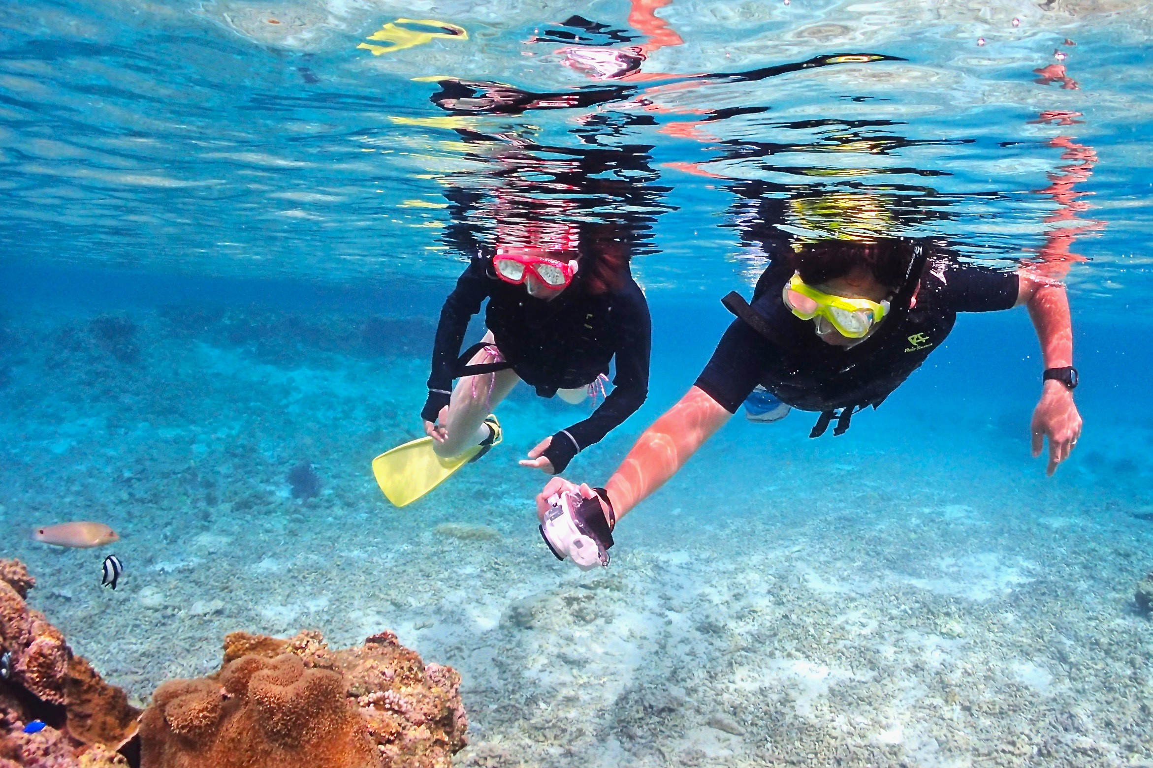 宮古島の白い砂浜と宮古ブルーで楽しむビーチシュノーケリング