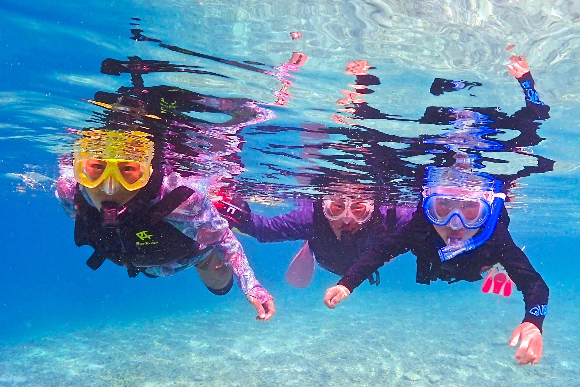 カクレクマノミを水面から観察するシュノーケリング