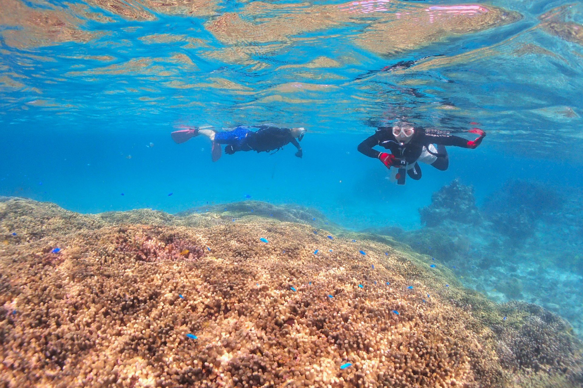 カップルで楽しむ宮古島の貸切シュノーケリング