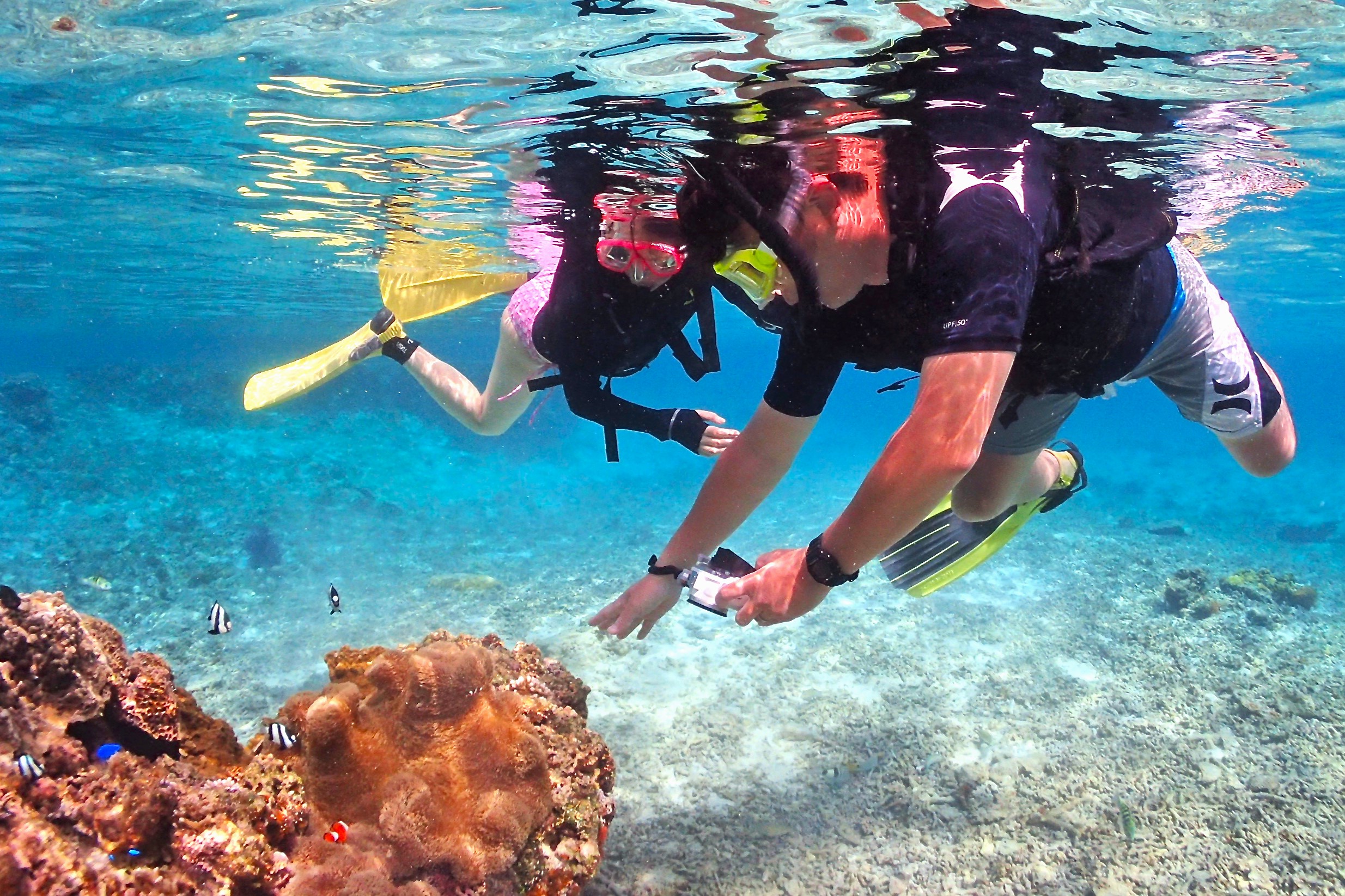 ライフジャケット着用で安心のシュノーケリング風景