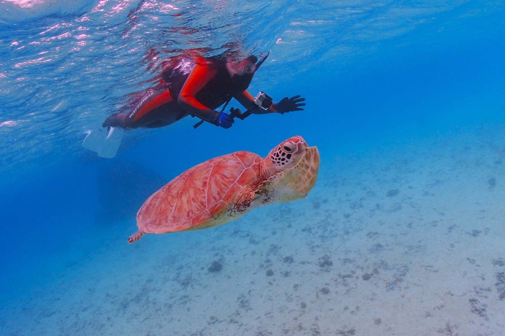 透明度の高い宮古ブルーを満喫するシュノーケリング